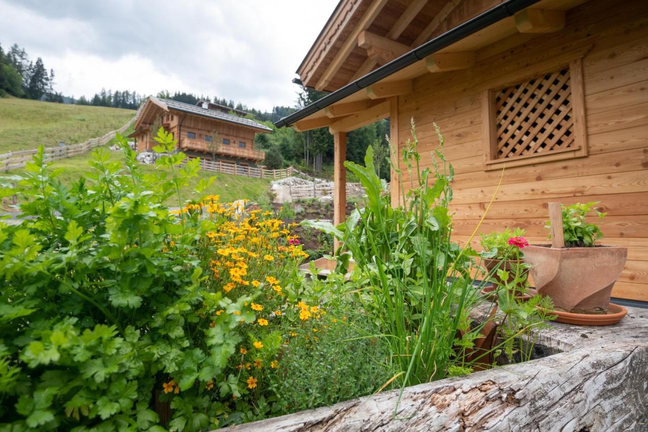 Prenner Alm * Haus im Ennstal